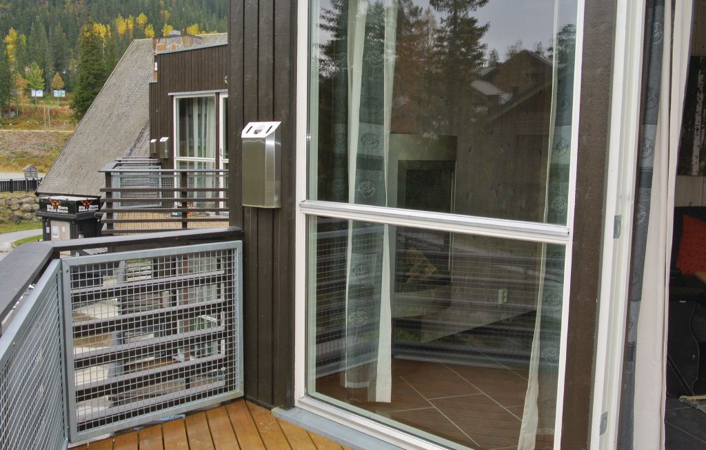 Welkom in dit prachtige appartement in Hemsedal. Het appartement is een goed uitgangspunt voor een actieve vakantie in Noorwegen. In de zomer kunt u vissen in de vlakbij gelegen Hemslia, een van de be..