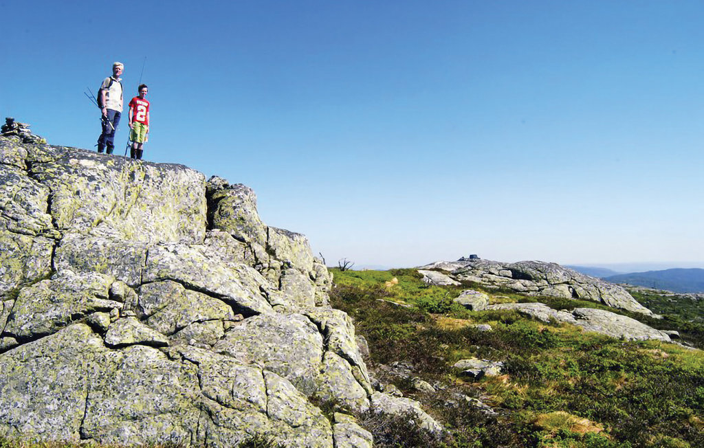 Semesterhus - Tovdal/Hillestadheia , Norge - N34291 20