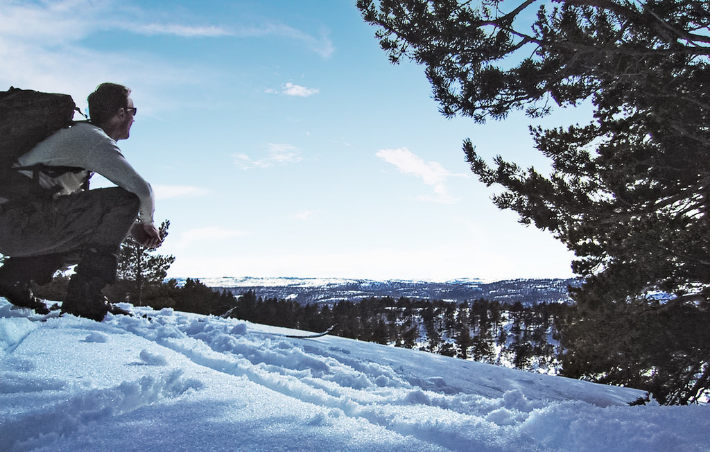 Semesterhus - Tovdal/Hillestadheia , Norge - N34291 16
