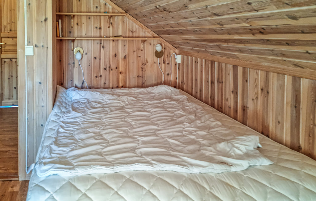 Feriehuse - Evje/Hornes , Norge - N34890 12