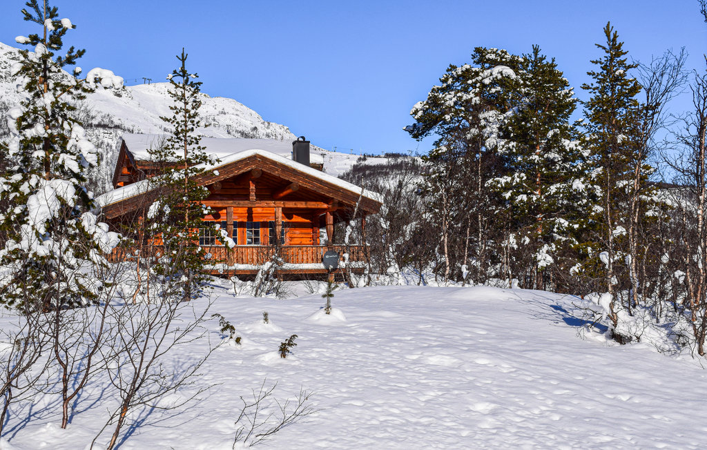 Ferienhaus - Hovden i Setesdal , Norwegen - N34704 8