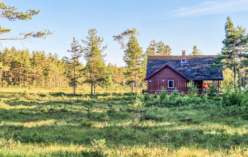 Feriehuse - Evje/Hornes , Norge - N34890 6