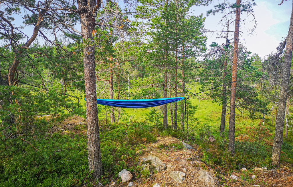 Feriehuse - Oggevatn/Birkenes , Norge - N34733 23