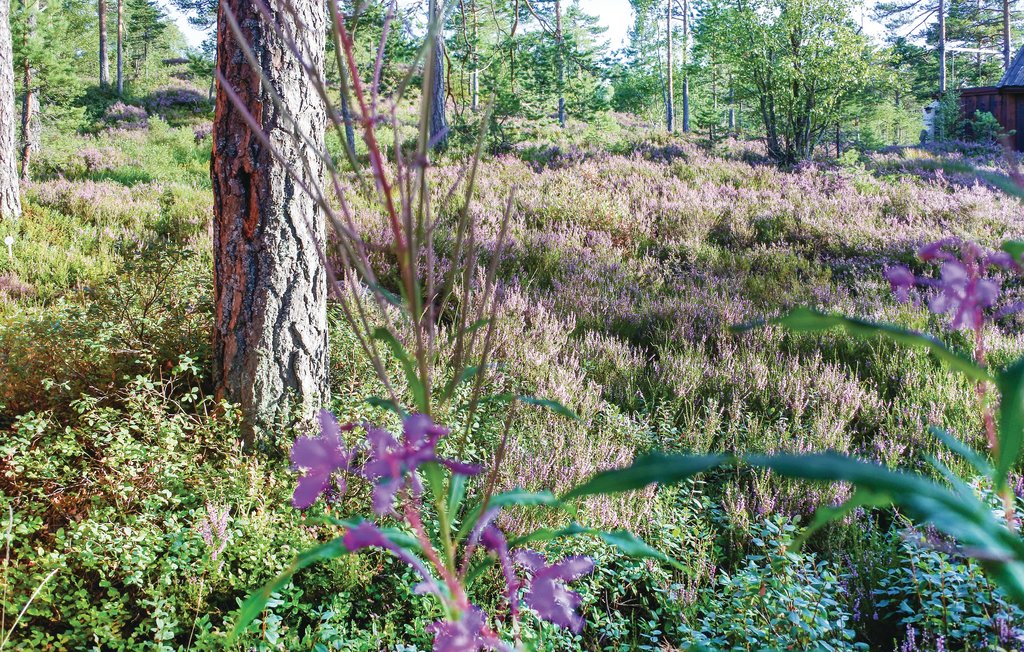 Feriehus - Åmli , Norge - N34057 18