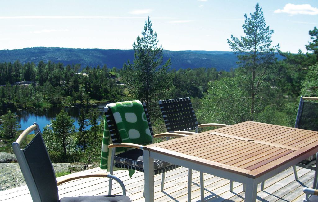 Feriehus - Tovdal/Hillestadheia , Norge - N34293 7