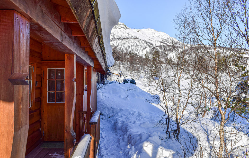 Ferienhaus - Hovden i Setesdal , Norwegen - N34704 10