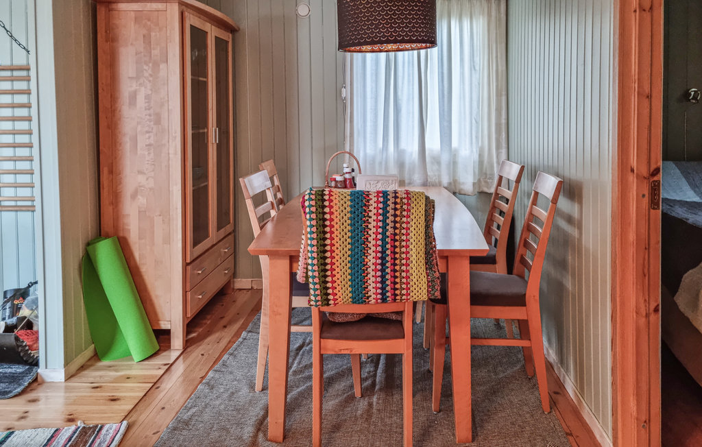 Feriehus - Eikerapen/Åseral , Norge - N34744 3