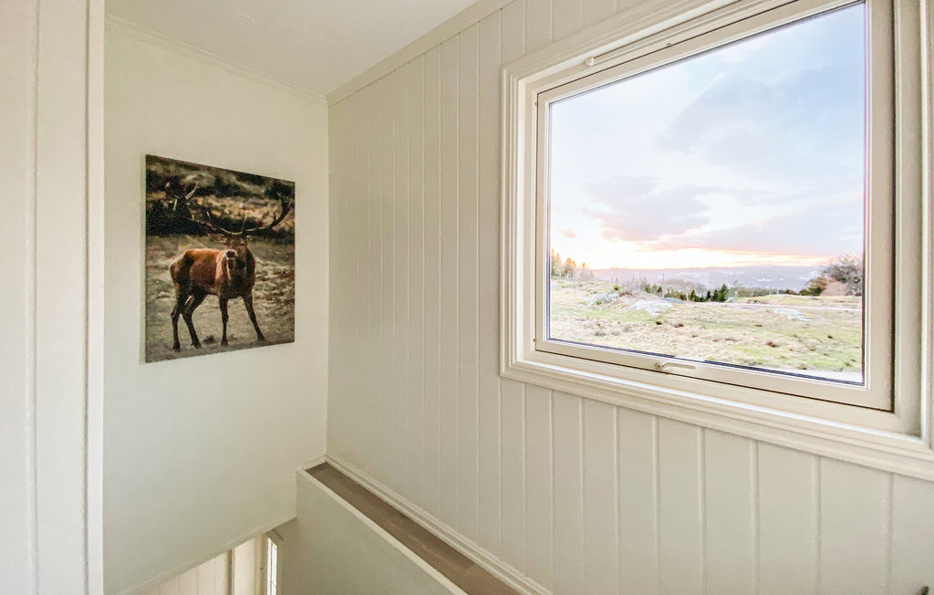 Feriehus - Lyngdal , Norge - N34750 13