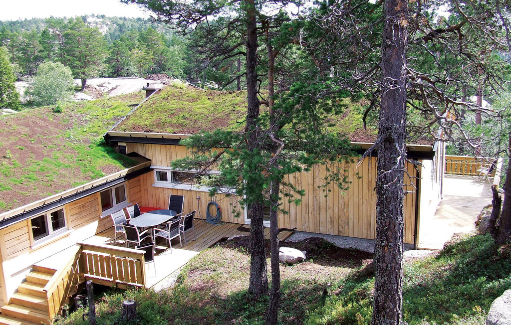 Semesterhus - Tovdal/Hillestadheia , Norge - N34291 11