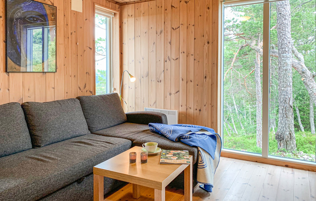 Feriehus - Tovdal/Hillestadheia , Norge - N34293 11