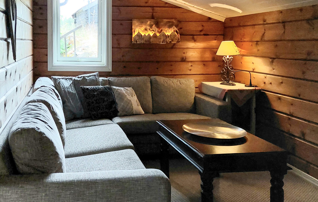 Feriehuse - Brokke Rysstad , Norge - N34885 6