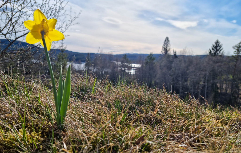 Feriehuse - Gautestad , Norge - N34959 43