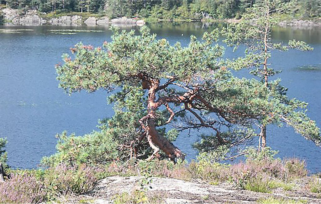Semesterhus - Froland/Vågsdalsfjorden , Norge - N34223 35