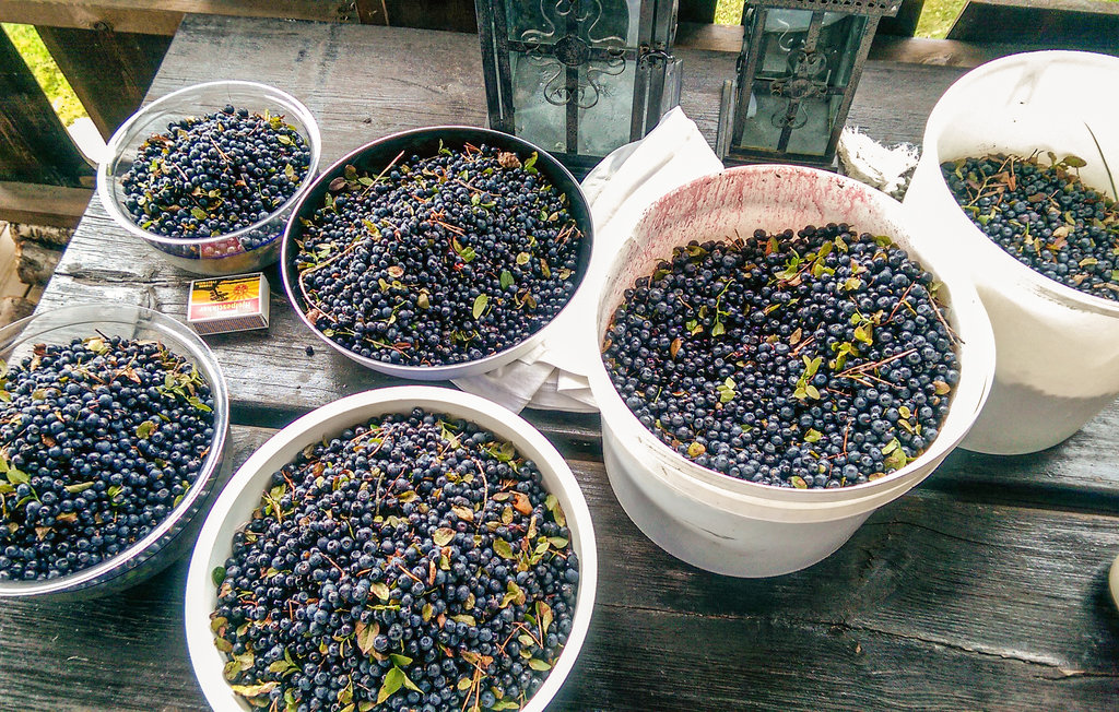 Feriehuse - Brokke Rysstad , Norge - N34885 11