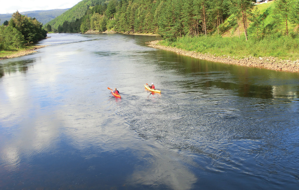 Feriehus - Sira/Konstali , Norge - N34350 8