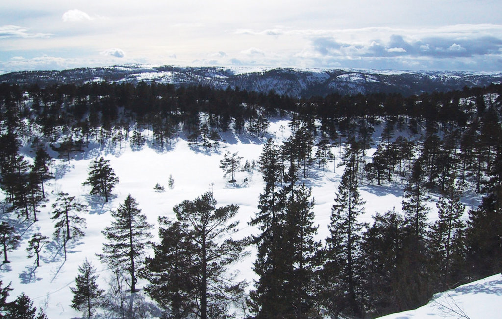 Semesterhus - Tovdal/Hillestadheia , Norge - N34291 18