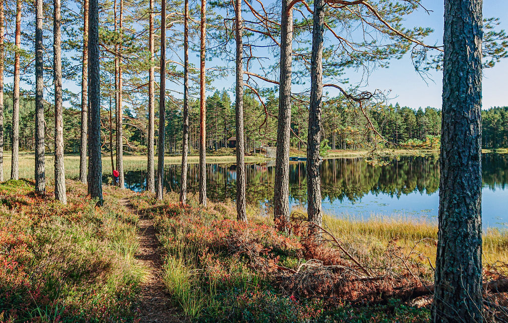 Feriehuse - Vegårshei , Norge - N34972 22