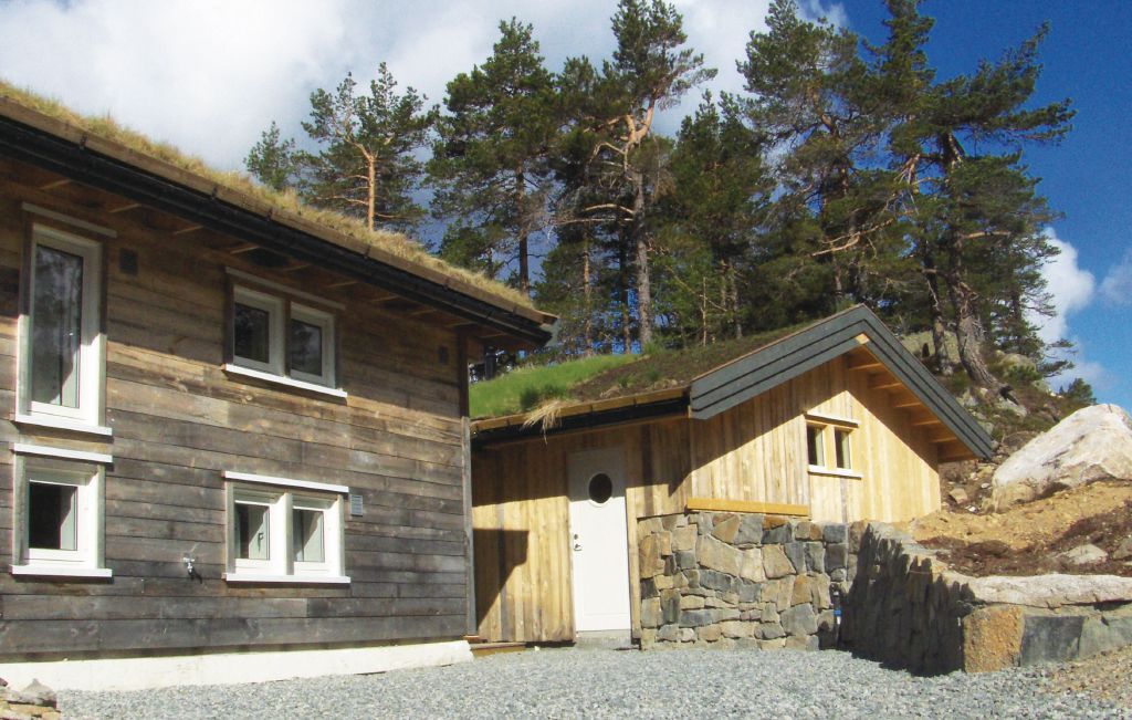 Ferienhaus - Tovdal/Hillestadheia , Norwegen - N34292 9