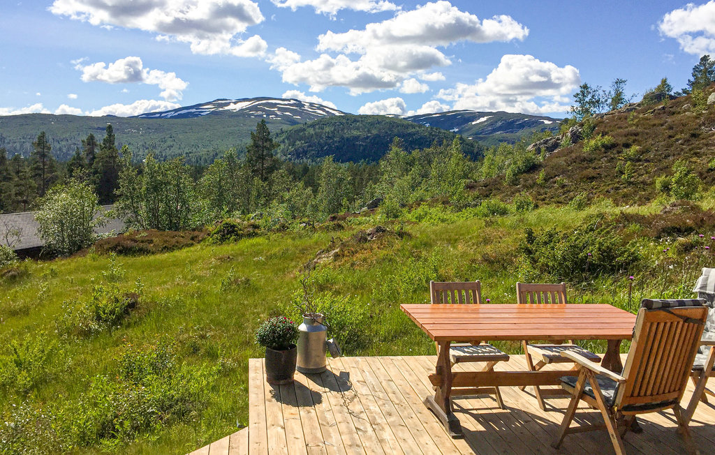Ferienhaus - Hovden/Bykle , Norwegen - N34986 2