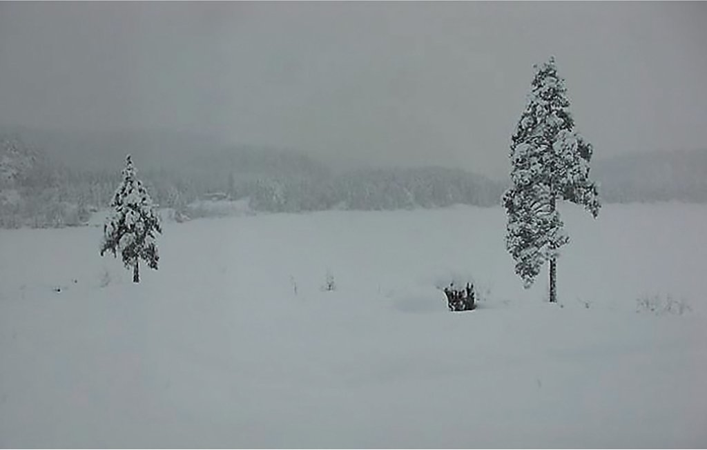 Semesterhus - Froland/Vågsdalsfjorden , Norge - N34223 16
