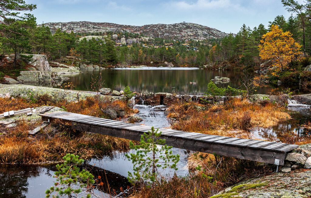 Feriehus - Tovdal/Hillestadheia , Norge - N34293 22