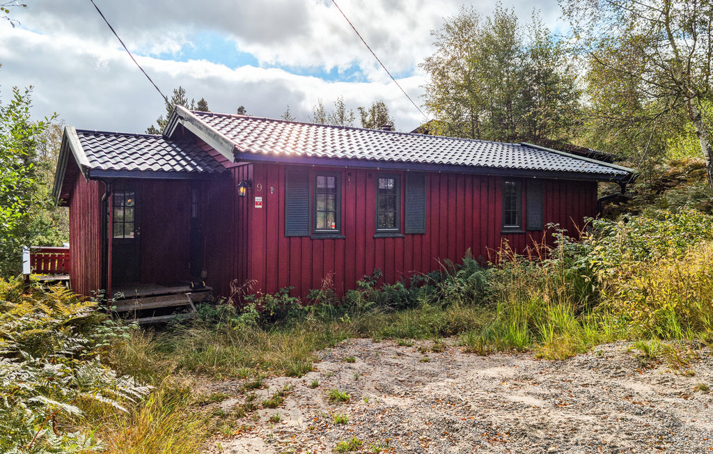 Feriehus - Eikerapen/Åseral , Norge - N34744 8