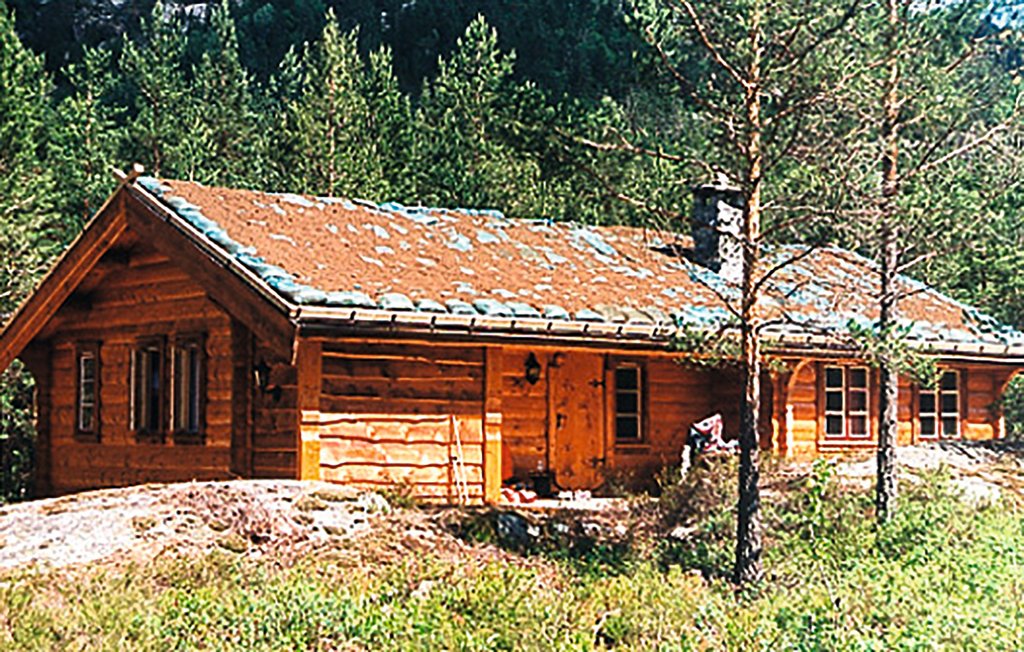 Ferienhaus - Tovdalen/Hillestad , Norwegen - N34191 6