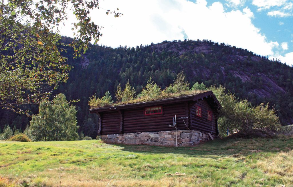 Ferienhaus - Åmli/Hunemo , Norwegen - N34688 4