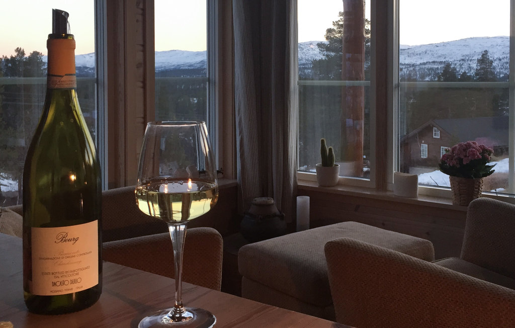 Ferienhaus - Hovden/Bykle , Norwegen - N34986 16