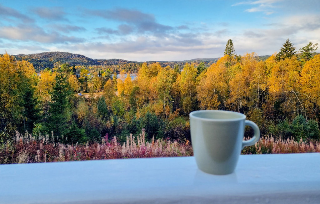 Feriehuse - Gautestad , Norge - N34959 21