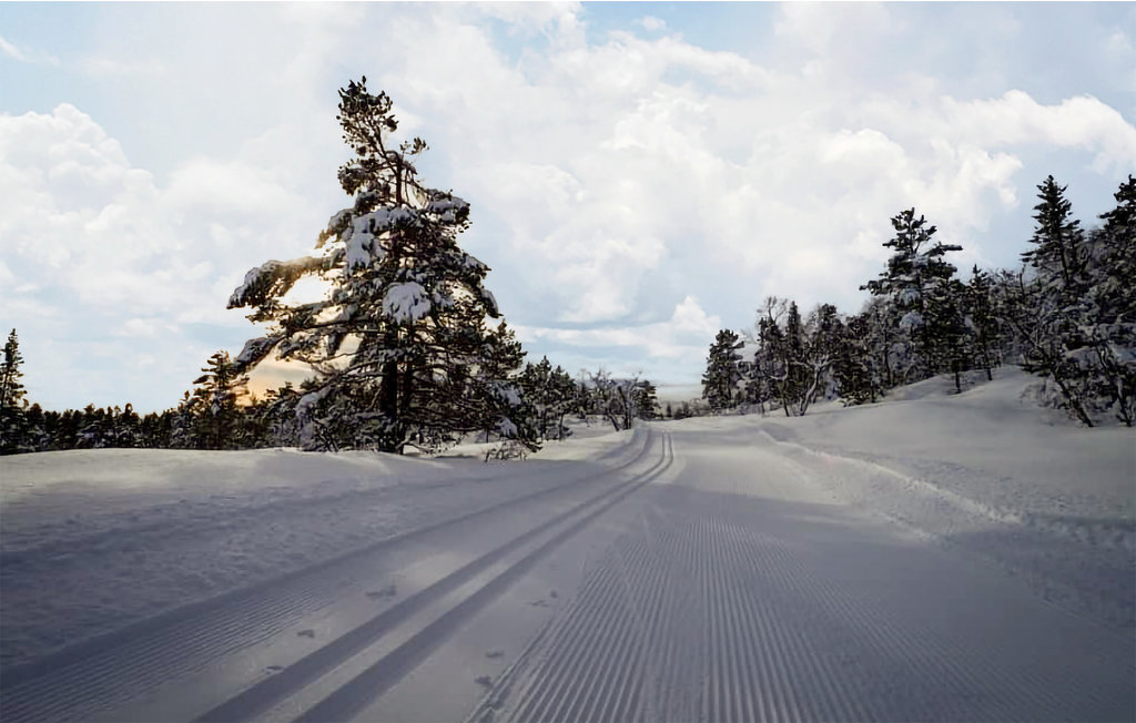 Feriehuse - Gautestad , Norge - N34959 35