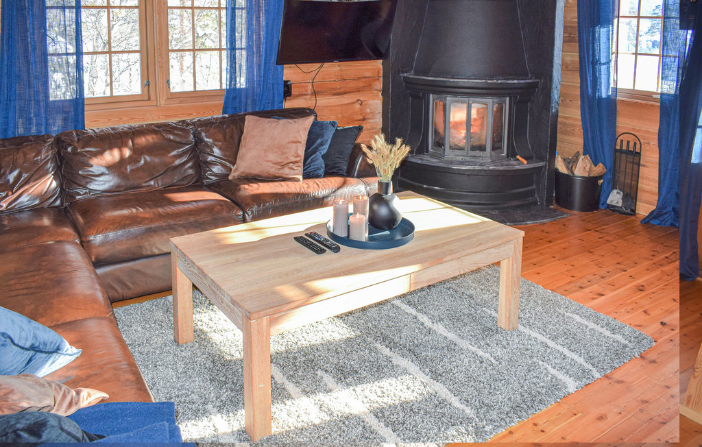 Ferienhaus - Hovden i Setesdal , Norwegen - N34704 3