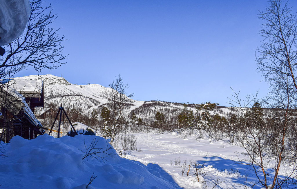 Ferienhaus - Hovden i Setesdal , Norwegen - N34704 12