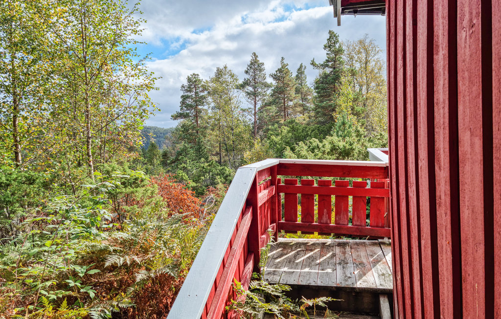 Feriehus - Eikerapen/Åseral , Norge - N34744 10