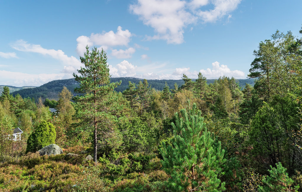 Feriehus - Eikerapen/Åseral , Norge - N34744 17