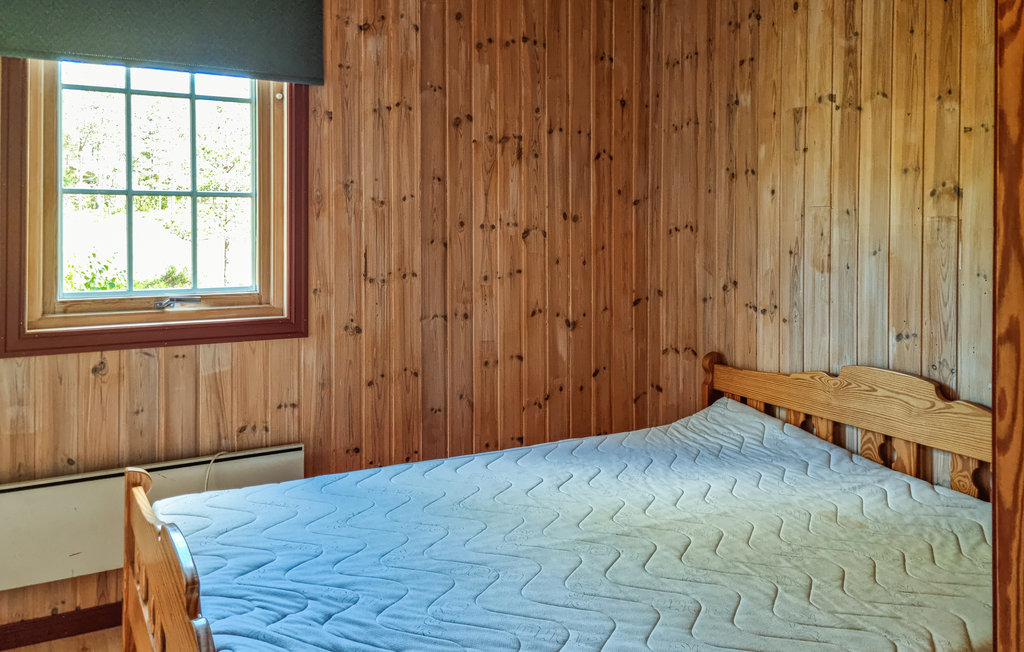 Feriehuse - Evje/Hornes , Norge - N34890 14