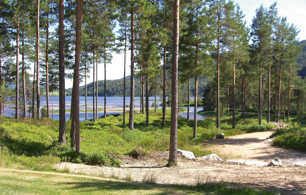 Feriehuse - Tovdalen/Hillestad , Norge - N34192 21