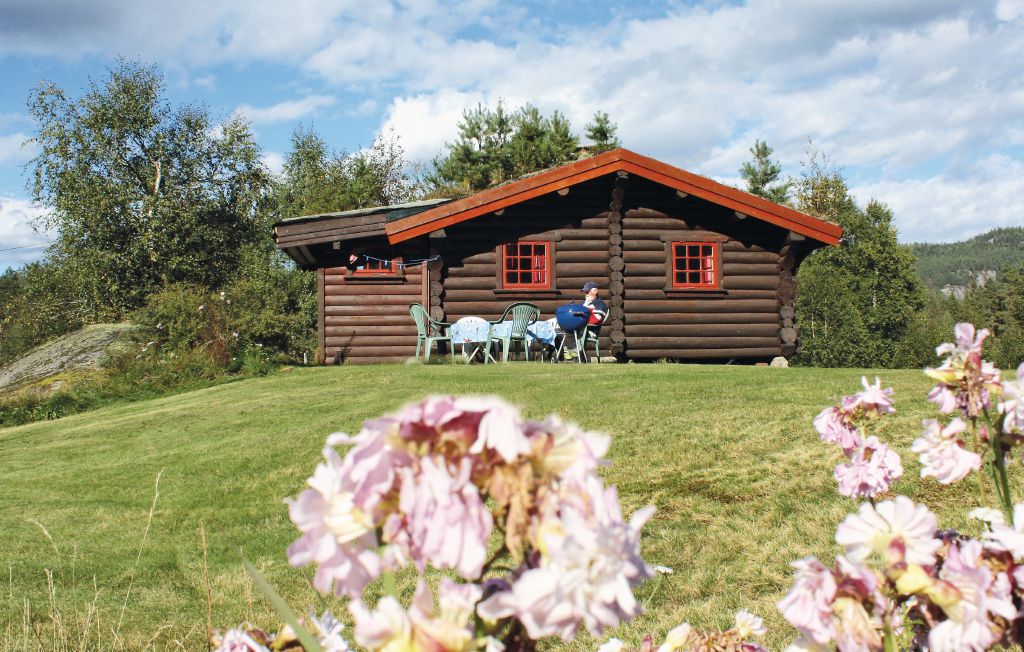 Ferienhaus - Åmli/Hunemo , Norwegen - N34688 1