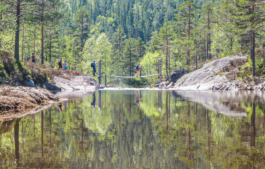 Semesterhus - Tovdalen/Hillestad , Norge - N34195 21