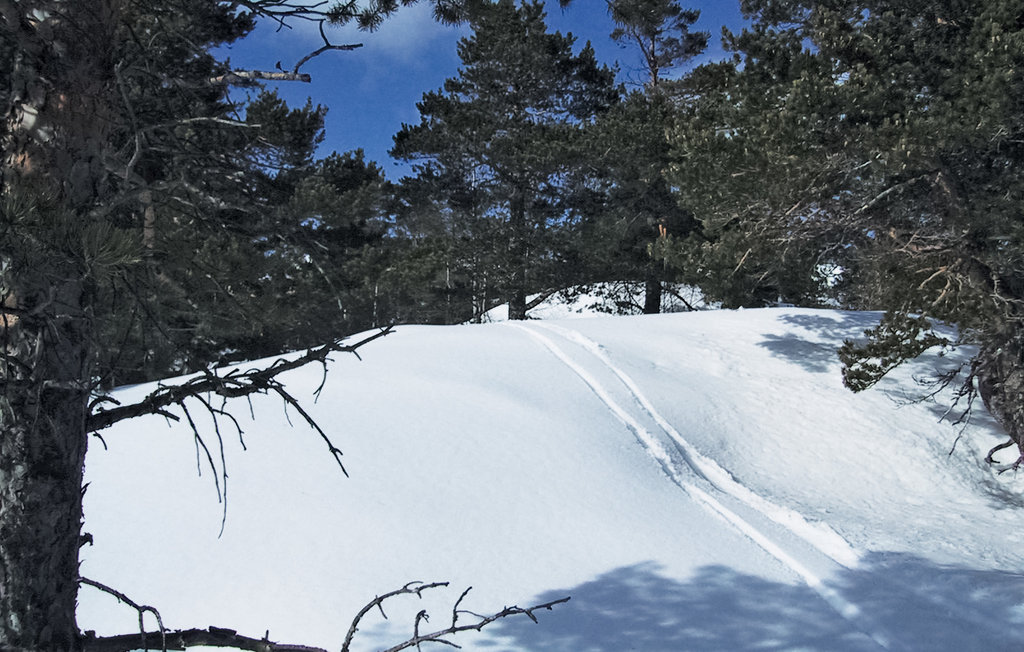 Semesterhus - Tovdal/Hillestadheia , Norge - N34291 15