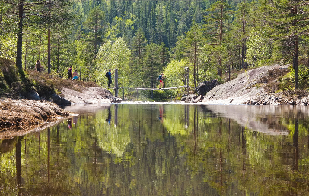 Semesterhus - Tovdalen/Hillestad , Norge - N34157 18