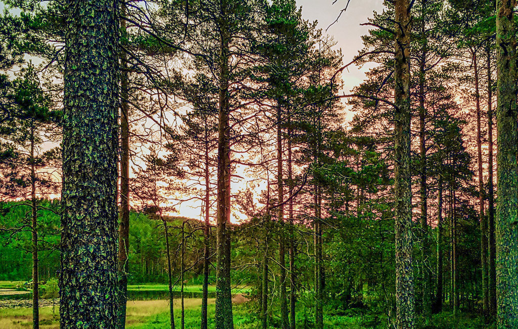 Feriehuse - Vegårshei , Norge - N34972 23