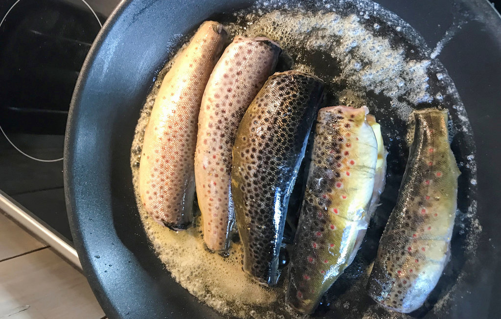 Ferienhaus - Hillestadheia , Norwegen - N34992 21