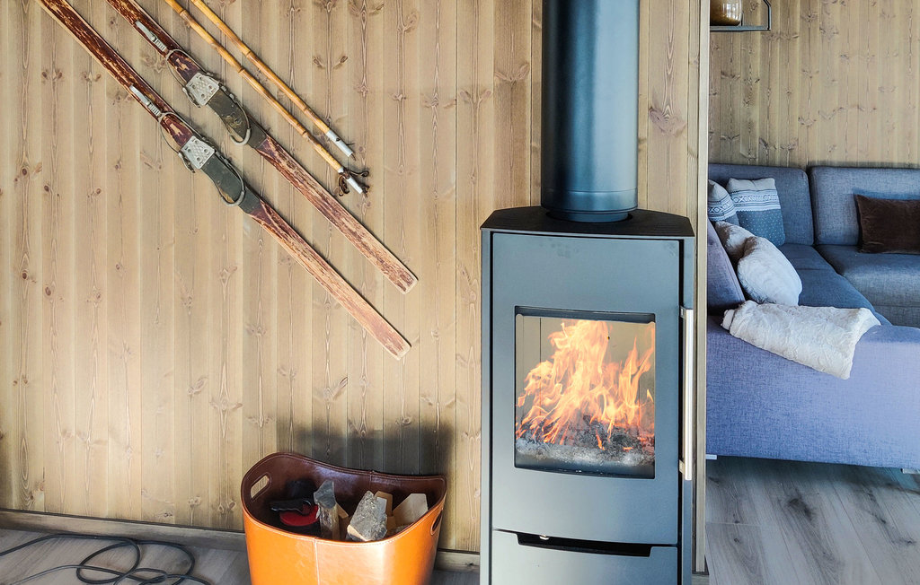 Ferienhaus - Hillestadheia/Dølemo , Norwegen - N34993 3