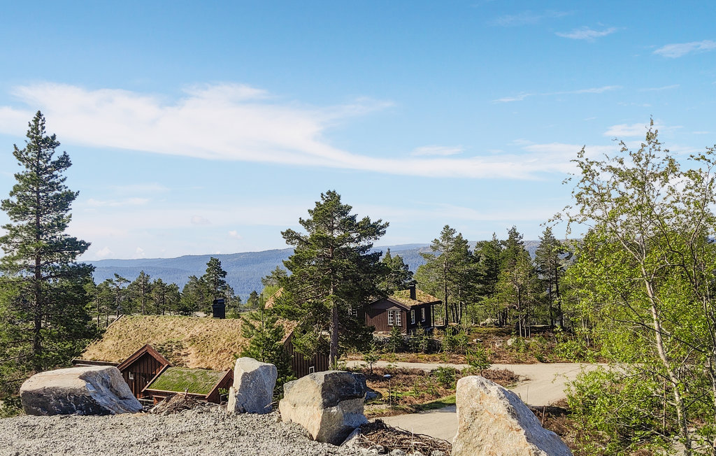 Ferienhaus - Hillestadheia/Dølemo , Norwegen - N34993 14