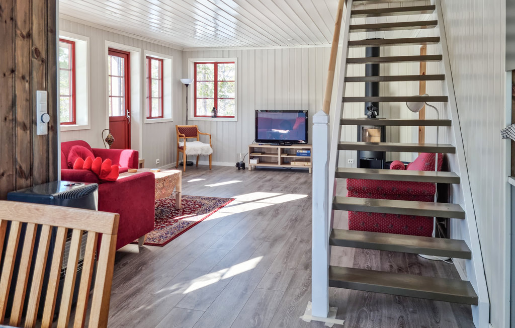 Ferienhaus - Hillestadheia/Dølemo , Norwegen - N34996 4