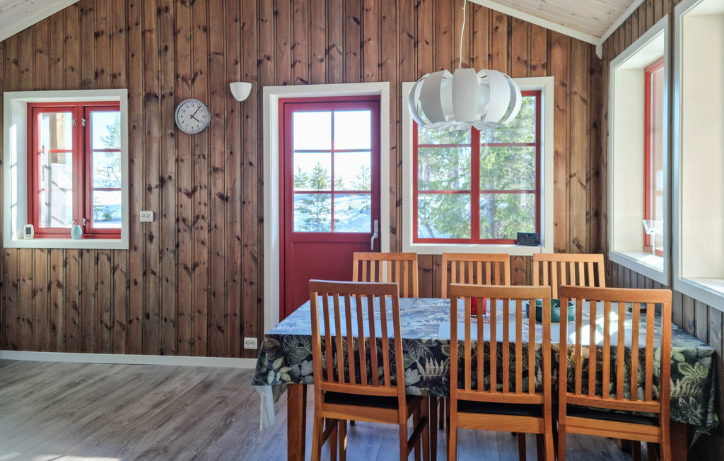 Ferienhaus - Hillestadheia/Dølemo , Norwegen - N34996 5