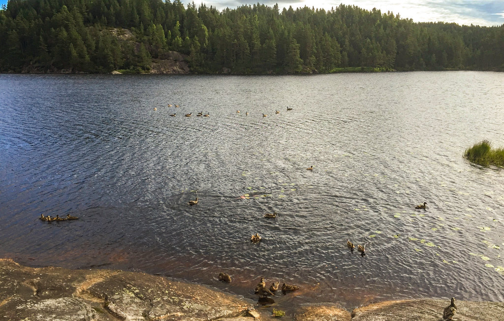 Semesterhus - Vatnestrøm , Norge - N34324 8