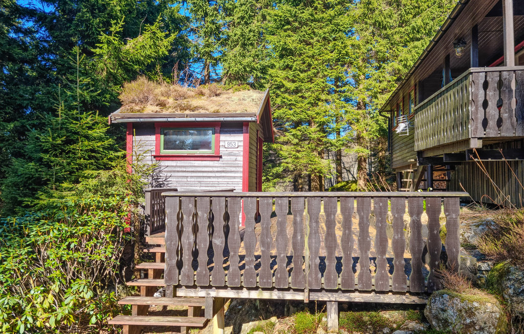 Feriehus - Lyngdal , Norge - N34561 8