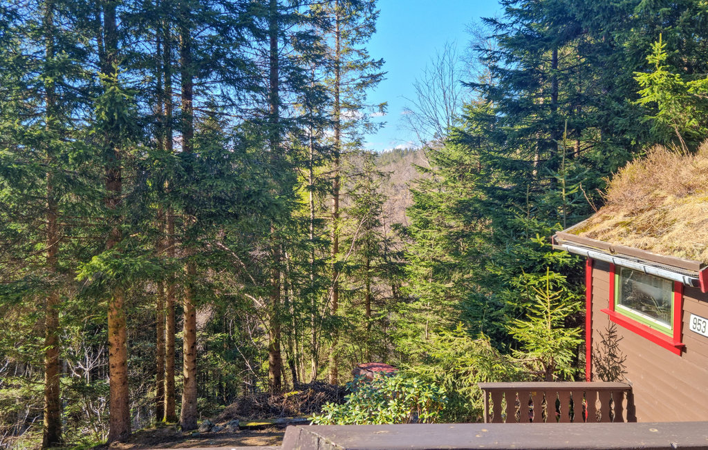 Feriehus - Lyngdal , Norge - N34561 7